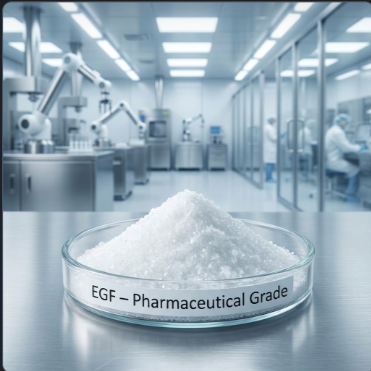 EGF (Epidermal Growth Factor)